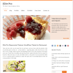 Elite Pro : Free Download Responsive Themes For Blog WordPress